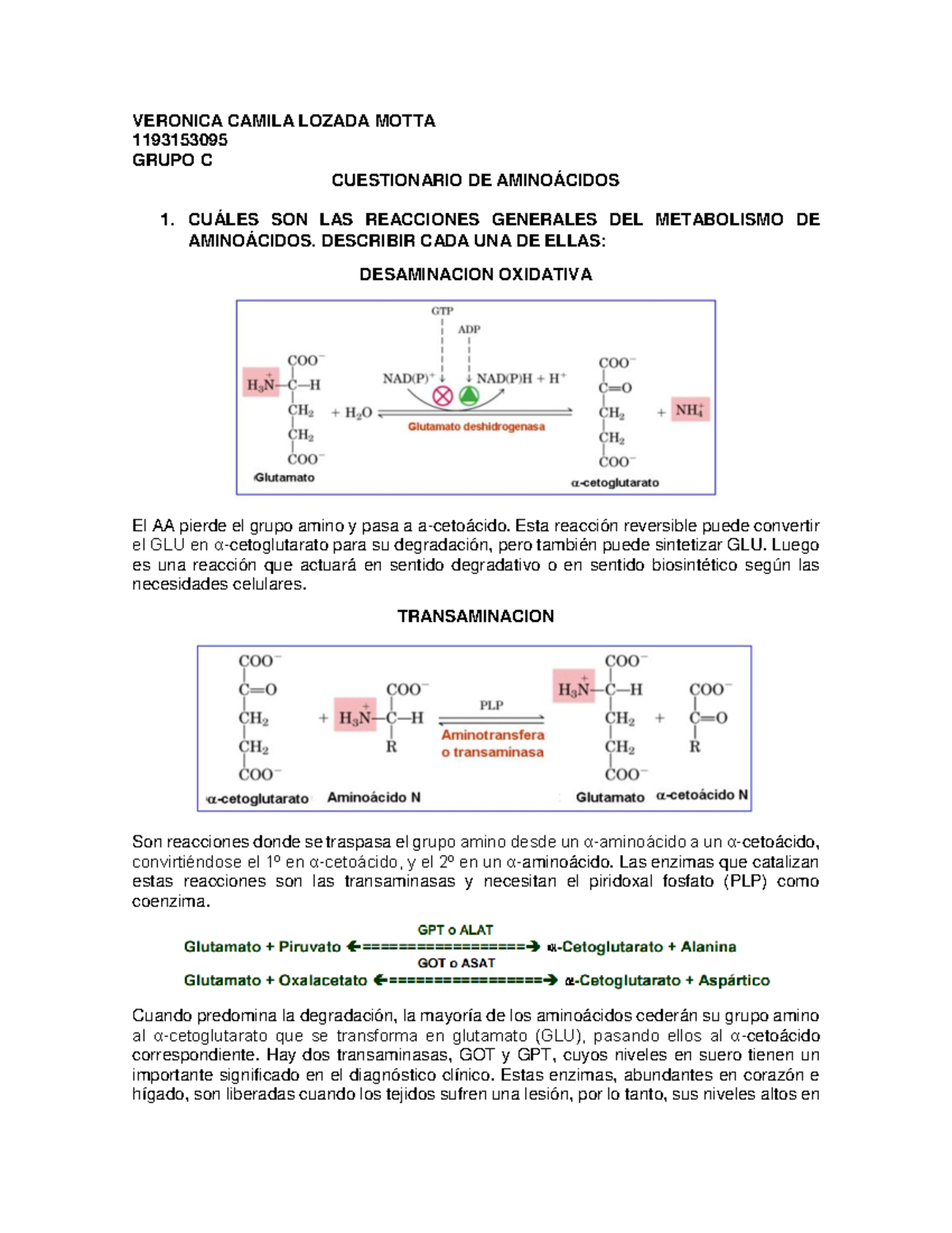 Cuestionario De Aminoácidos - VERONICA CAMILA LOZADA MOTTA 1193153095 ...