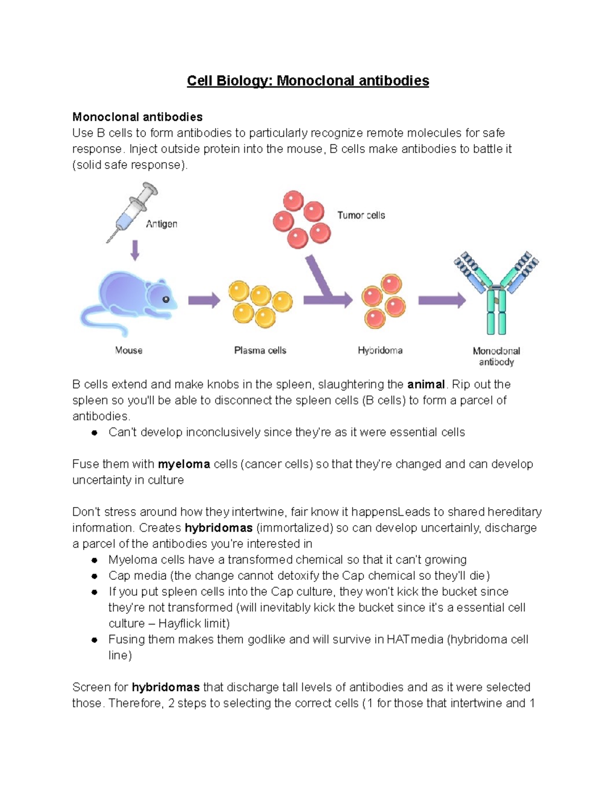 Cell Biology Monoclonal antibodies Cell Biology Monoclonal antibodies Monoclonal antibodies