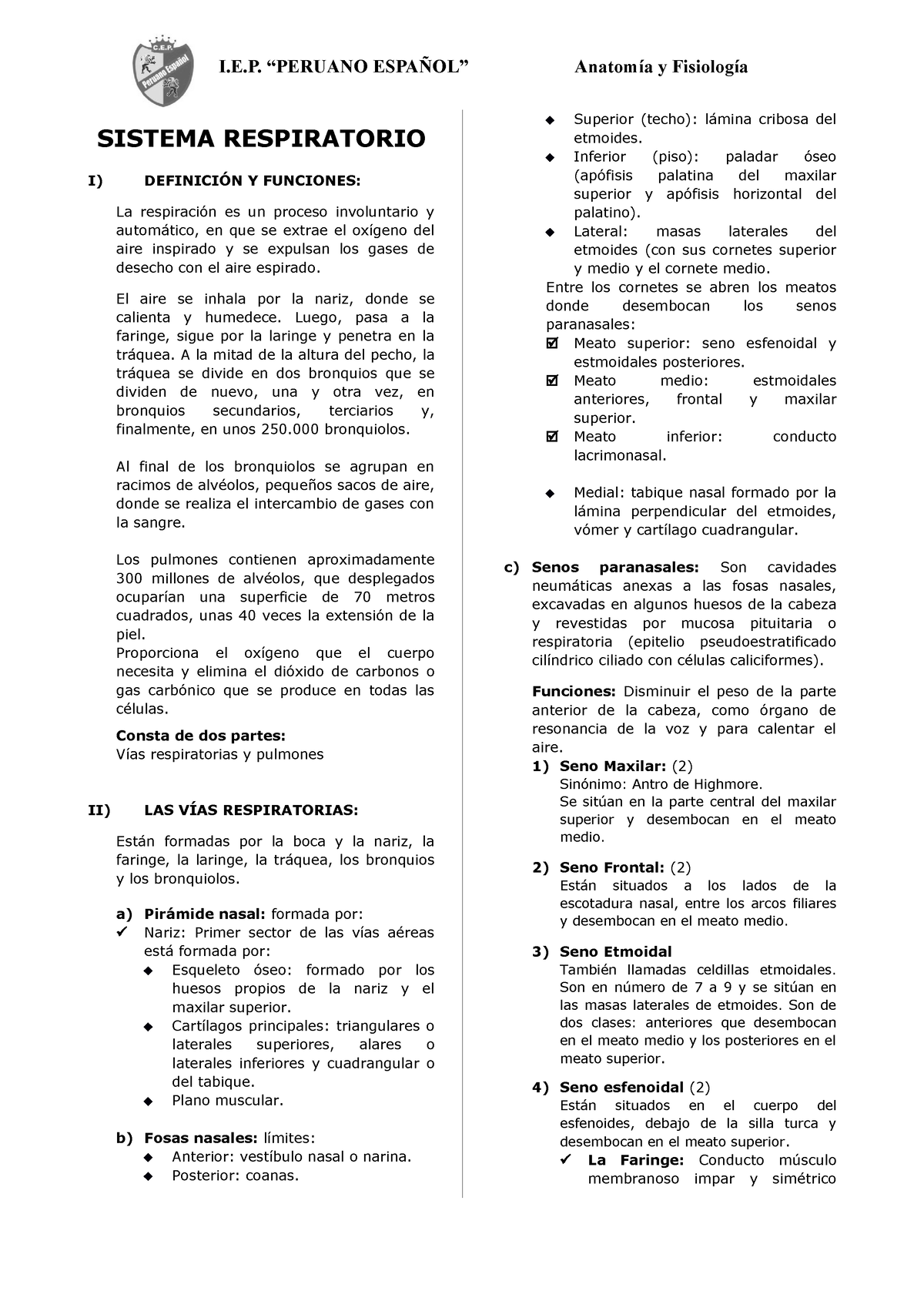 Sistema Respiratorio - RESUMEN ANATOMIA - SISTEMA RESPIRATORIO I ...