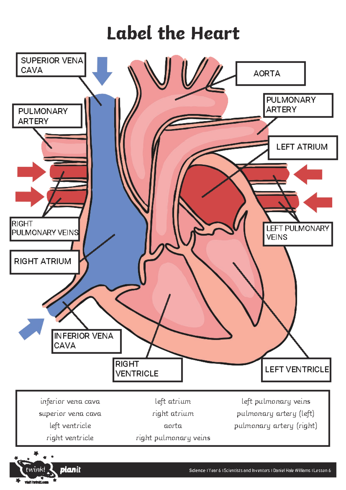 Label the heart - nuh uh - Label the Heart Science | Year 6 ...