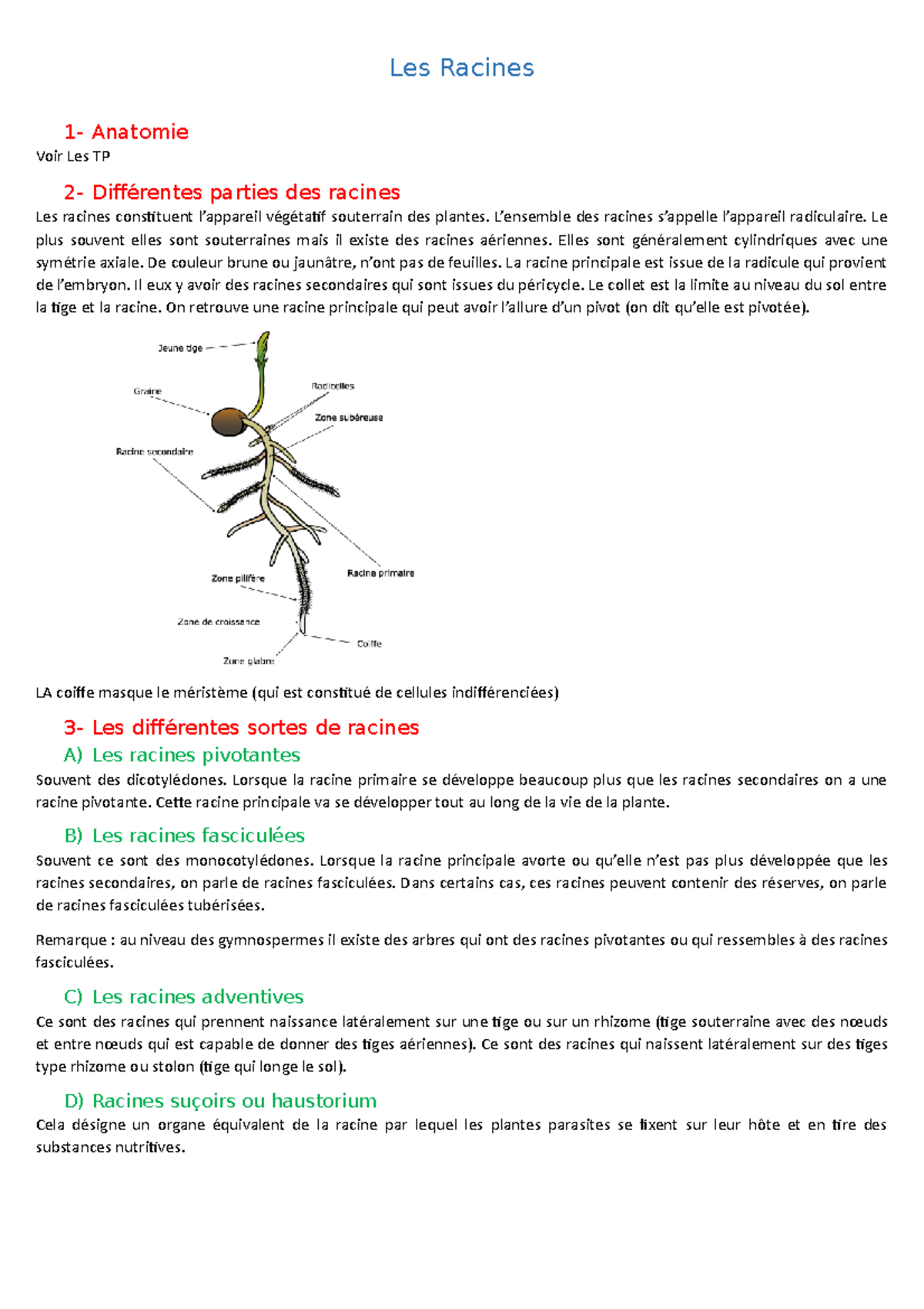 Chapitre 4 - Cours de biologie végétale licence 1 biologie, Mme ...