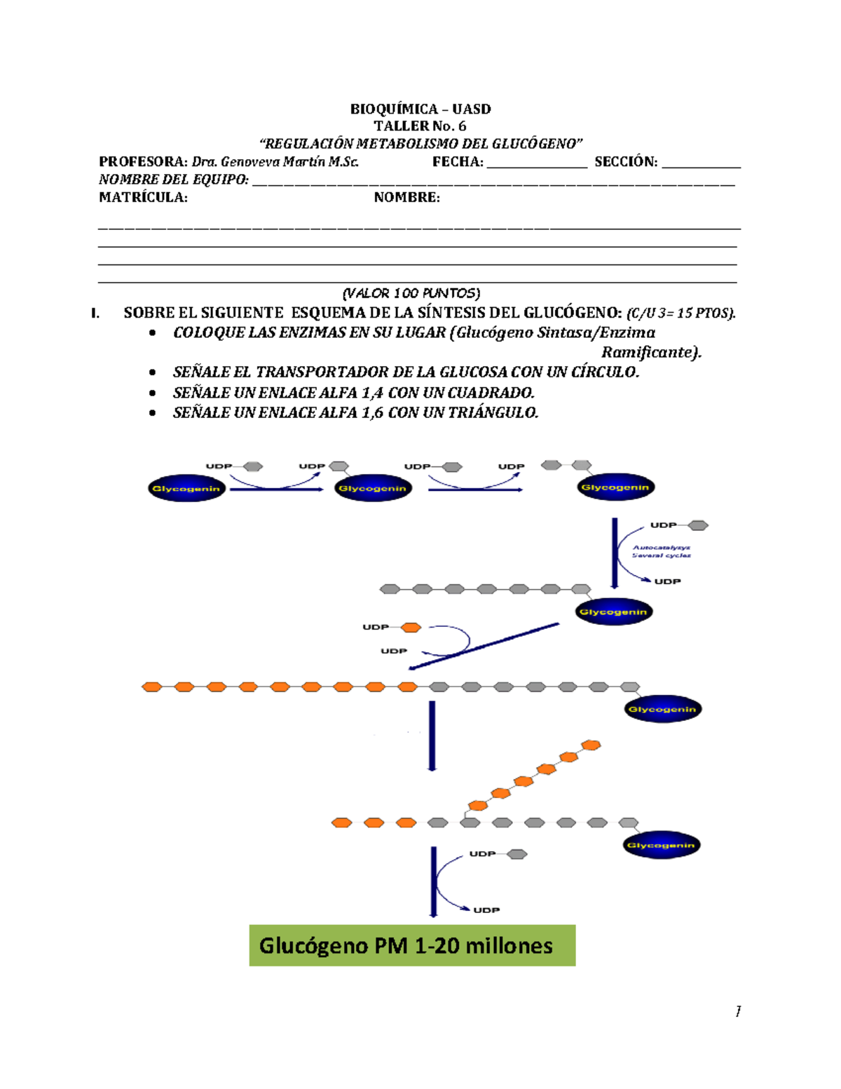 Taller #6-Glucogeno-BII - 1 BIOQUÕMICA – UASD TALLER No. 6