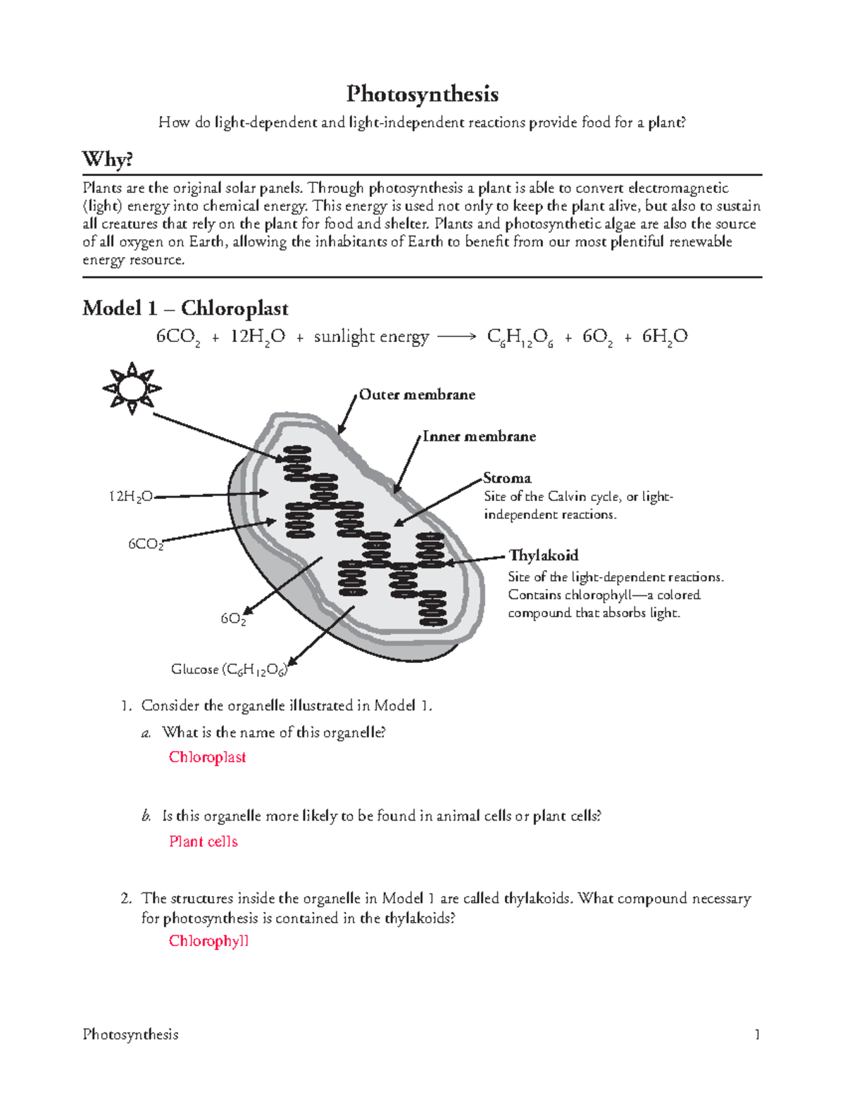 11 Photosynthesis-S - PDF worksheet with Answer key. - Photosynthesis 1 ...