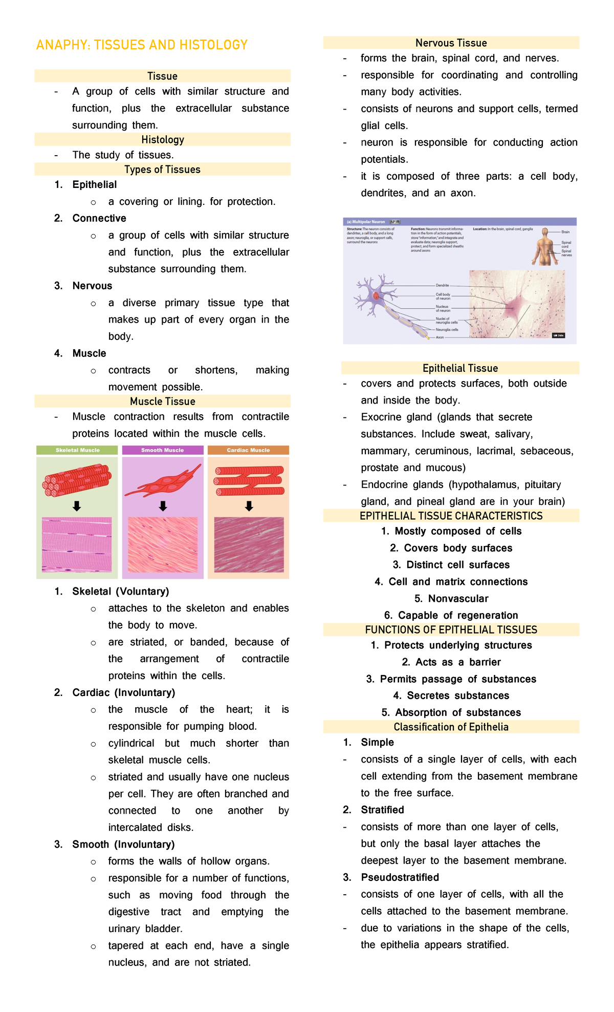 Anaphy - Tissues and the Integumentary System - ANAPHY: TISSUES AND ...