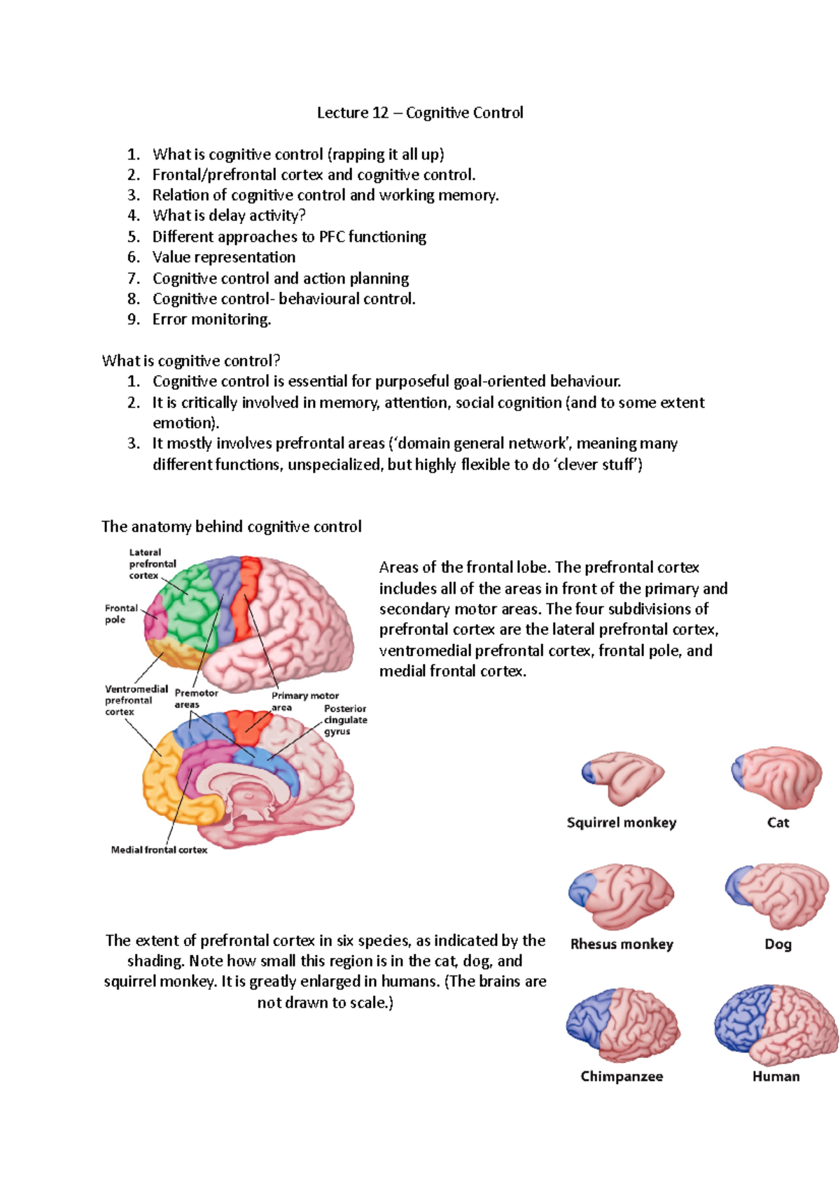 Cognitive Lecture 12 - Cognitive Control - Lecture 12 – Cognitive ...