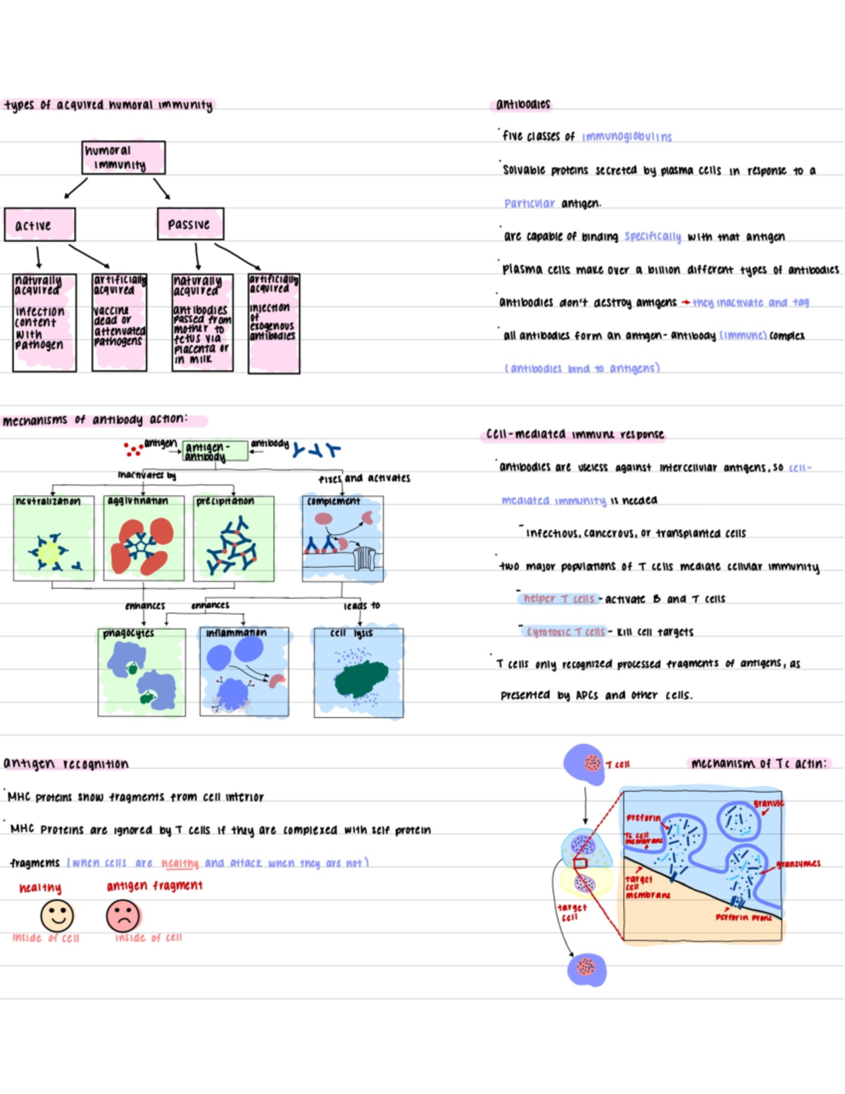 case study 4 immune system