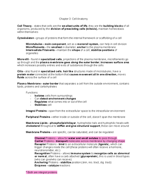 Chapter 4: Tissues - Chapter 4: Tissues Histology - The Study Of ...