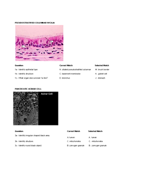 Lecture Exam 2 - Chapter 11 1) Muscle Tissue Is Highly Vascularized And ...