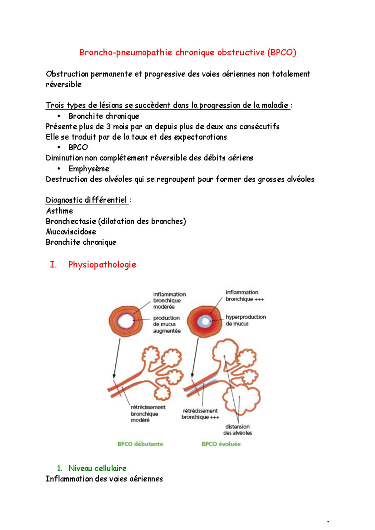 Broncho Pneumopathie Chronique Obstructive 0028bpco0029 - Broncho ...