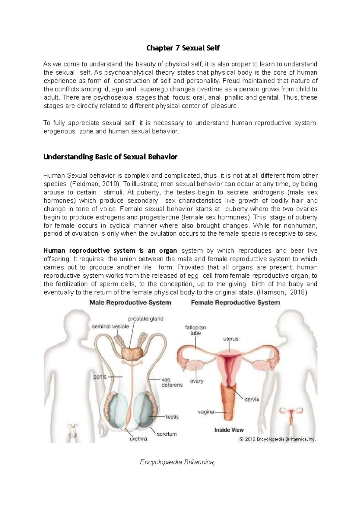 Chapter 7 Sexual Self - helpful - Chapter 7 Sexual Self As we come to ...