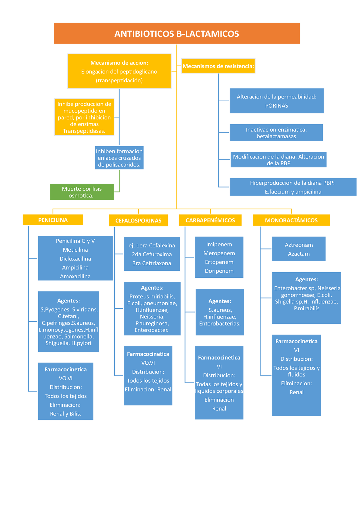 Mapa Conceptual B Lactamicos - ANTIBIOTICOS B-LACTAMICOS PENICILINA ...