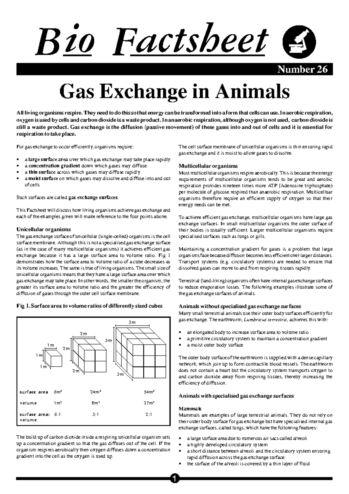 26 Gas Exchange in animals - Gas Exchange in Animals Bio Factsheet ...