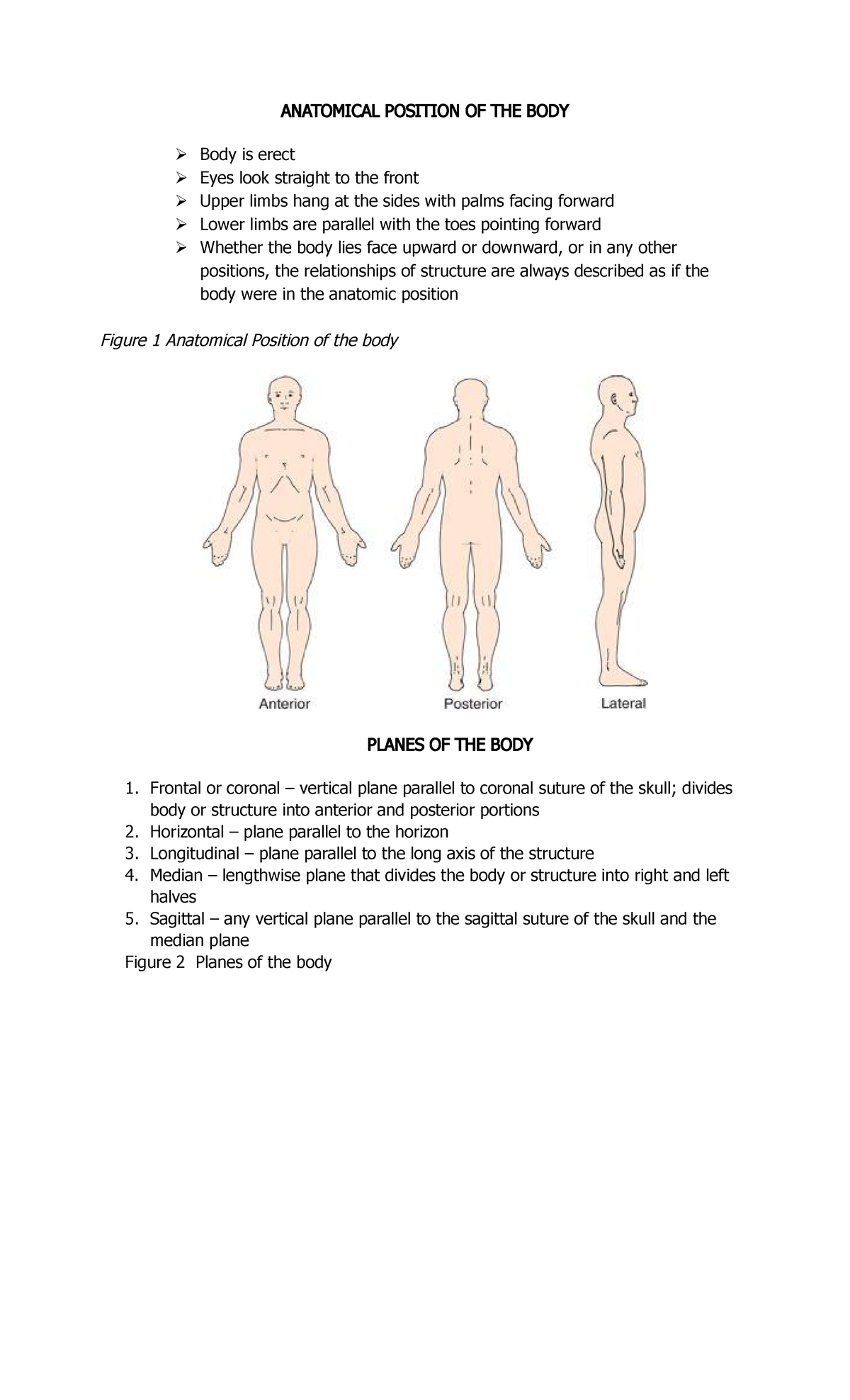 MED-GLO - MEDICAL GLOSARRY - ANATOMICAL POSITION OF THE BODY Body is ...