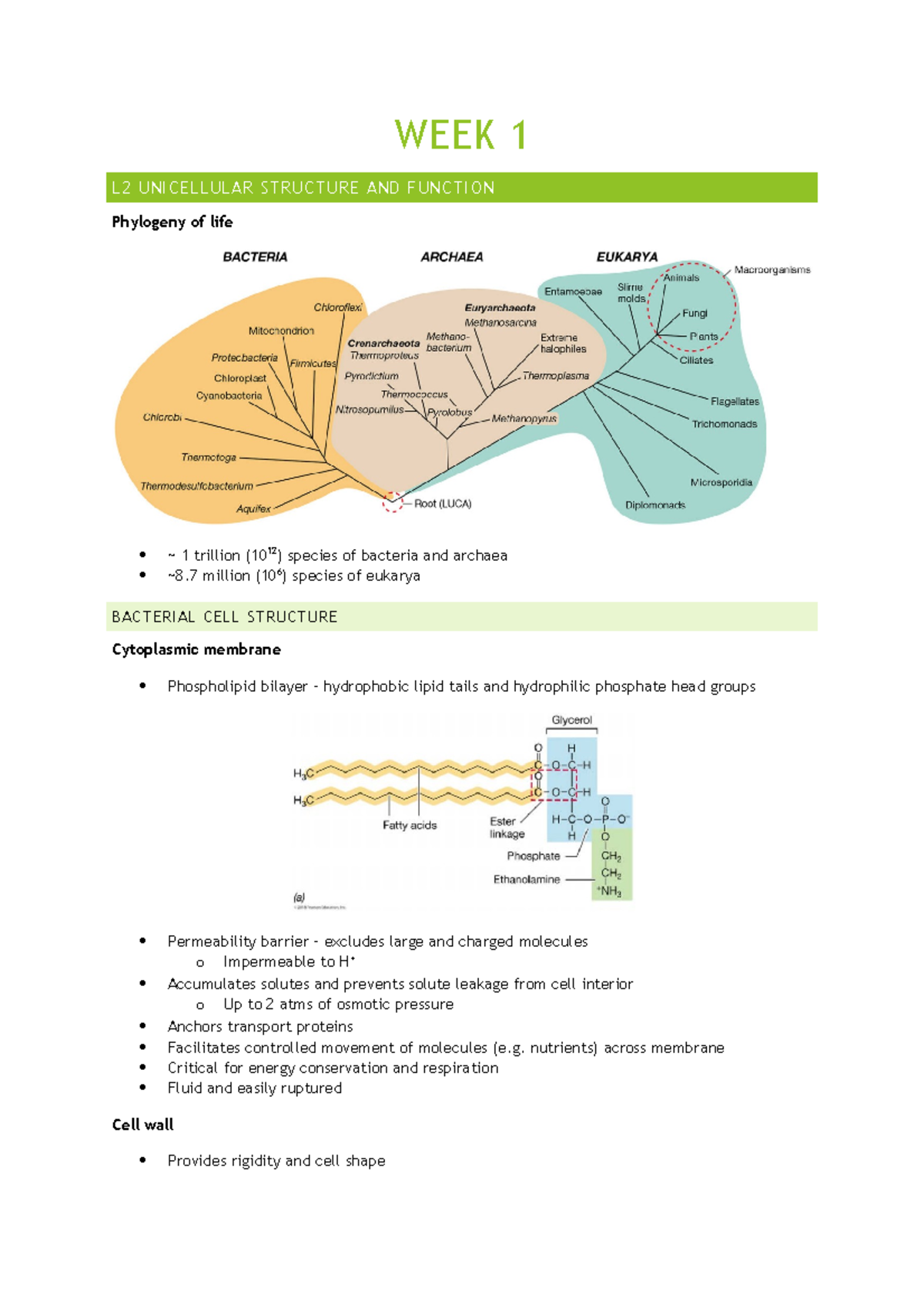Week 1 Lecture and Tutorial Notes - WEEK 1 L2 UNICELLULAR STRUCTURE AND ...