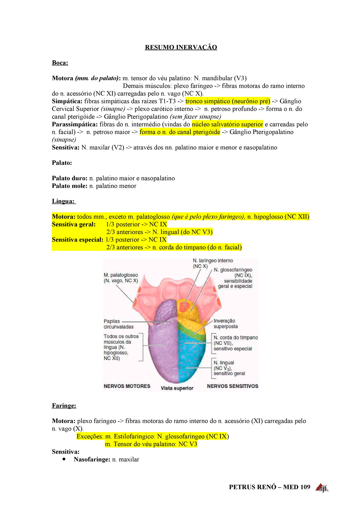 Resumo Anatomia Iv Prova Ii Studocu