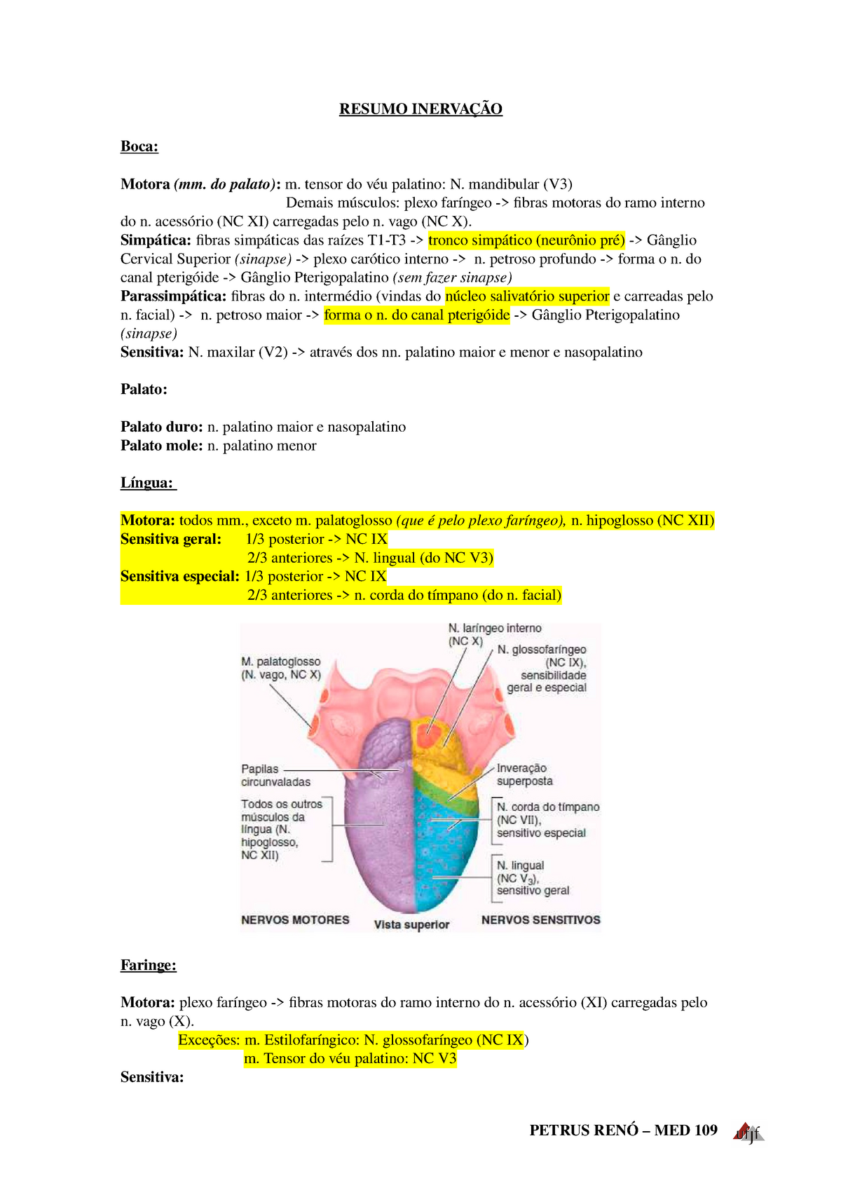 Resumo Anatomia Iv Prova Ii Studocu