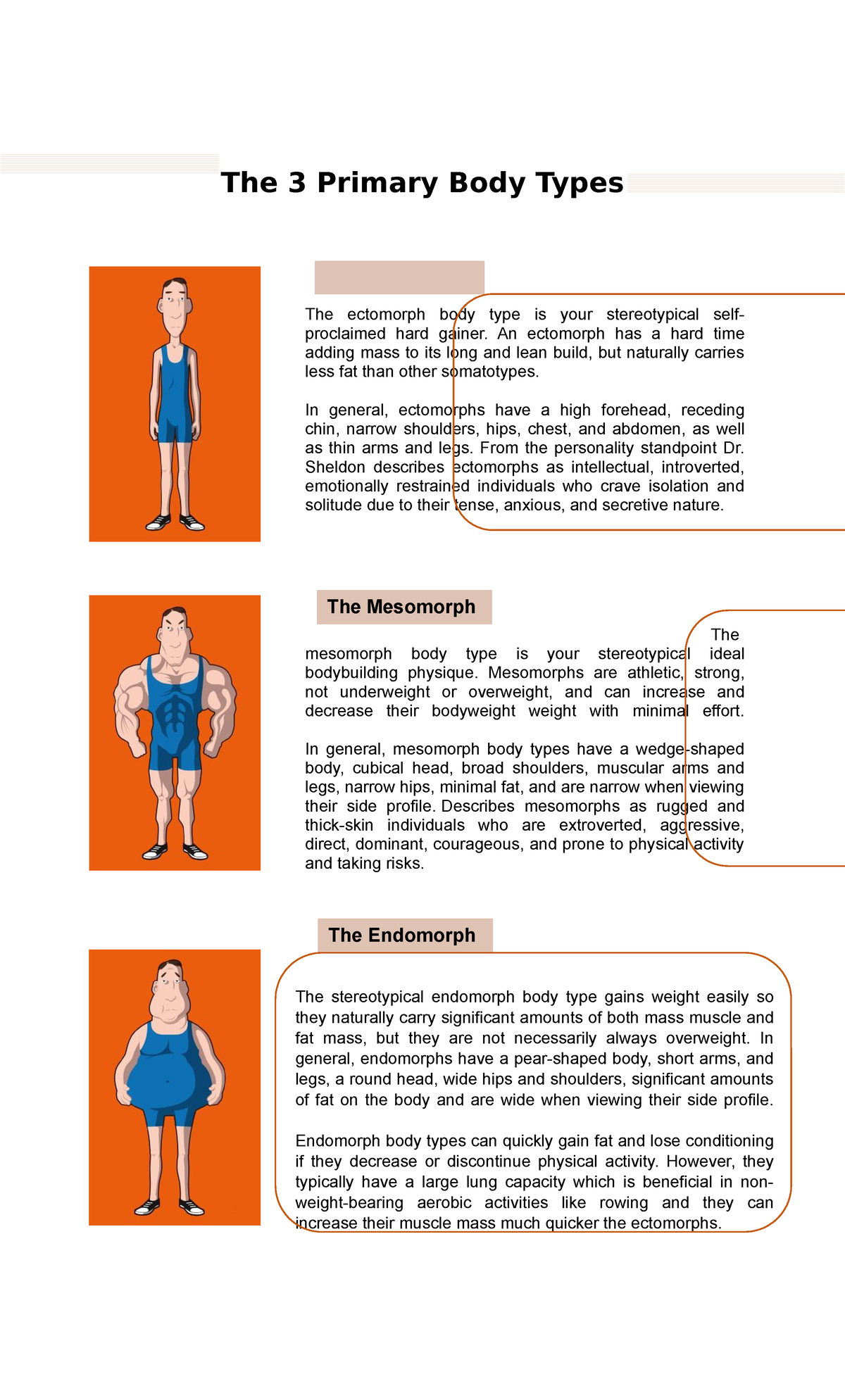 Different body types (somatotypes) (A) Ectomorph, (B) mesomorph
