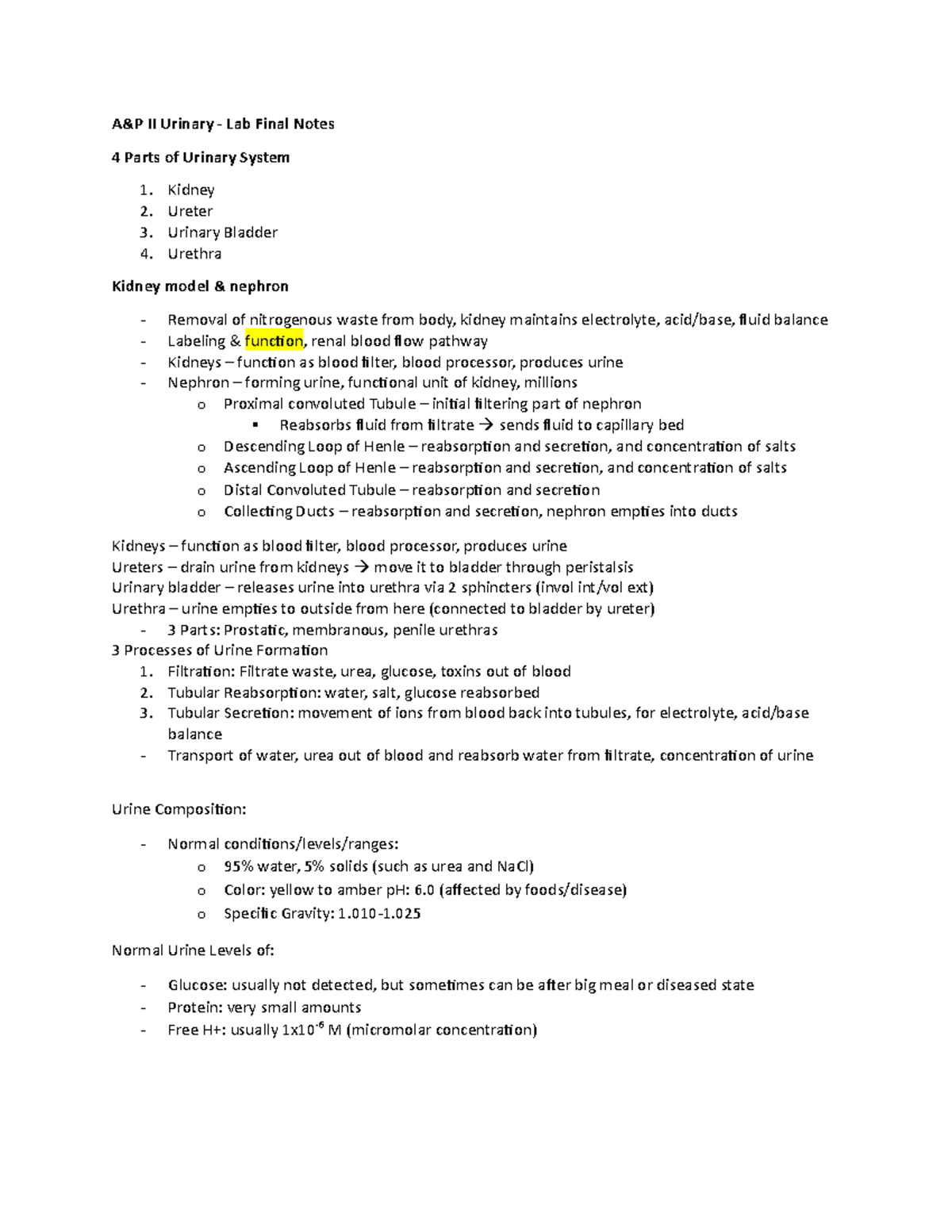 lab-final-urinary-a-amp-p-ii-urinary-lab-final-notes-4-parts-of