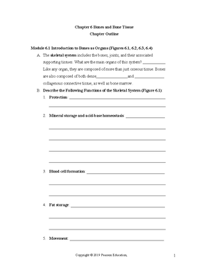 Chapter 9 muscular system - Module 9: Overview of Skeletal Muscles ...