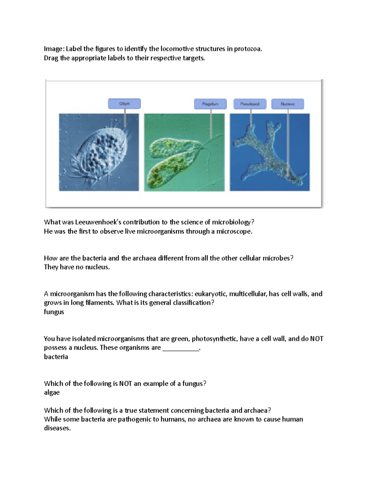 micr-mastering-week-1-chapter-1-image-label-the-figures-to