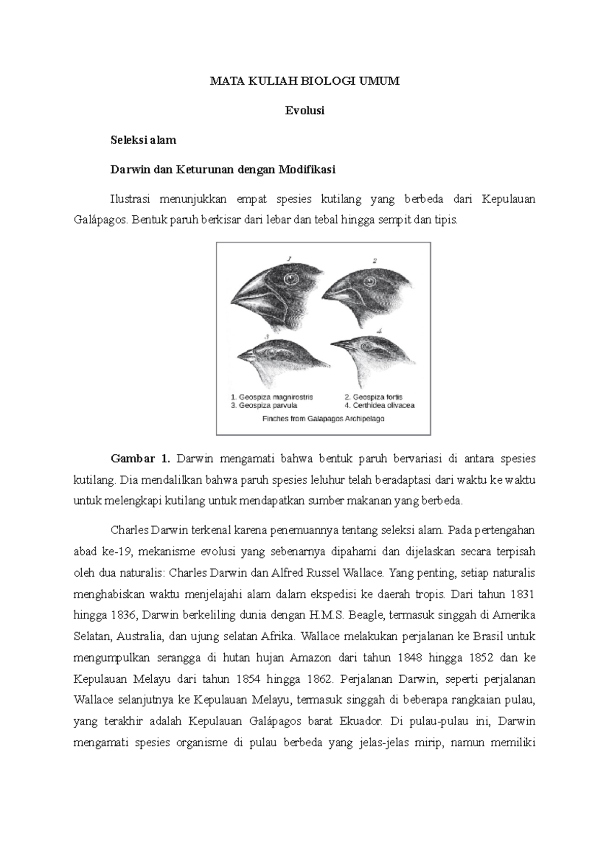 Biologi UMUM - Evolusi - MATA KULIAH BIOLOGI UMUM Evolusi Seleksi Alam ...