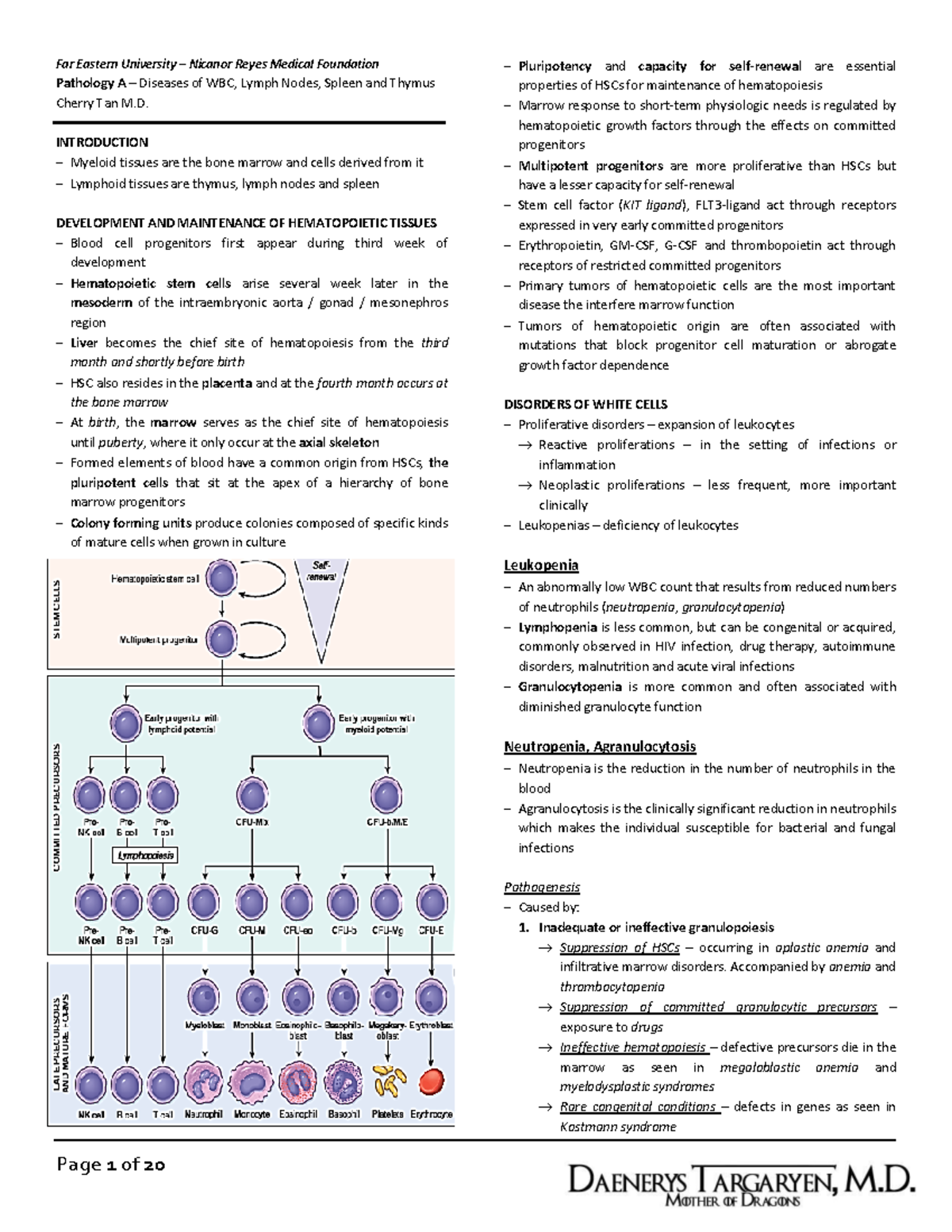 Pathology A - WBC, Lymph Nodes, Spleen, Thymus Disorders (Tan, 2015 ...