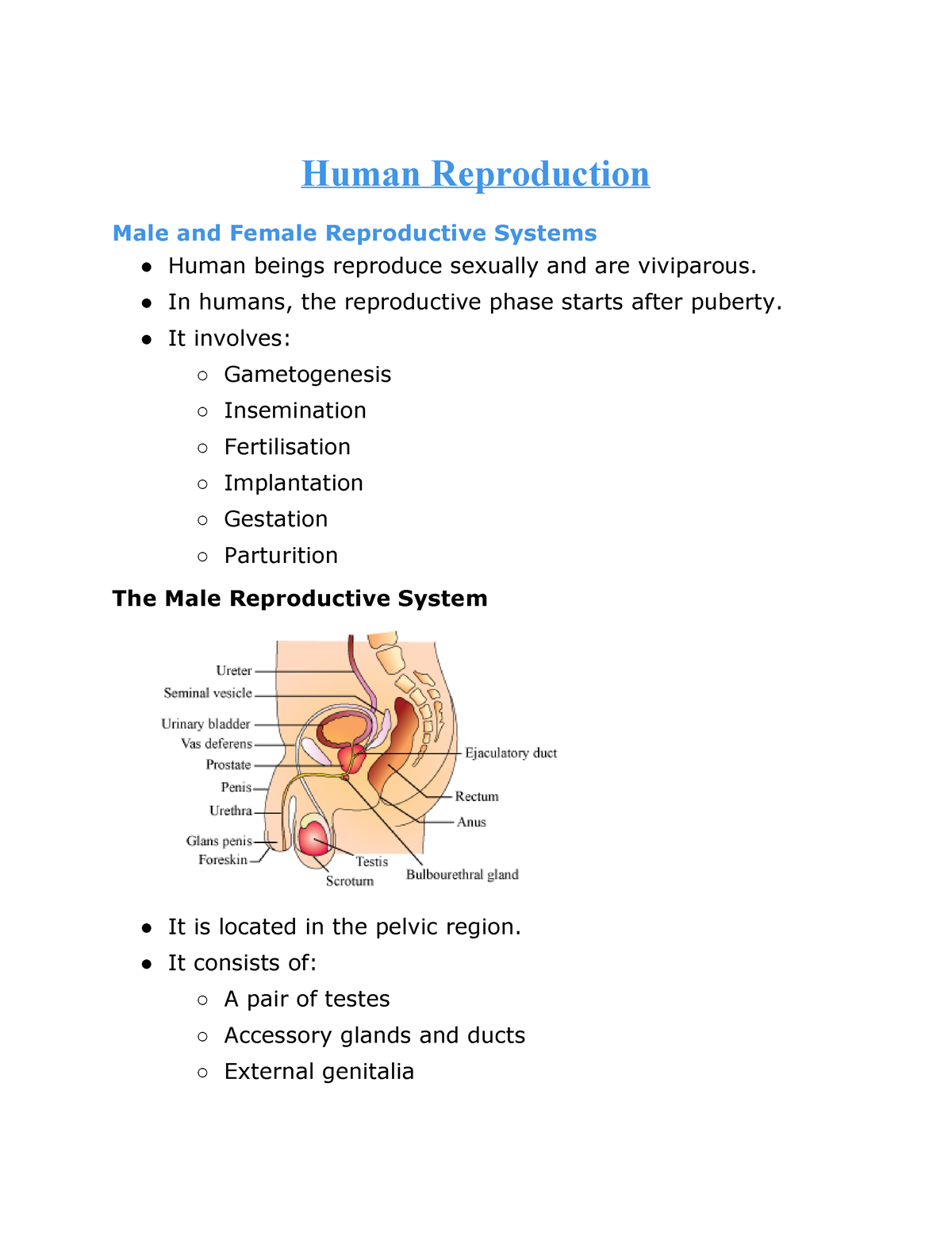 Chapter 3 Human Reproduction Human Reproduction Male And Female Reproductive Systems Human 5711