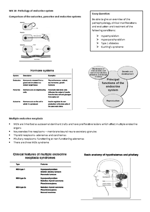 Pathophysiology- Endocrine system - Pathophysiology Endocrine System ...