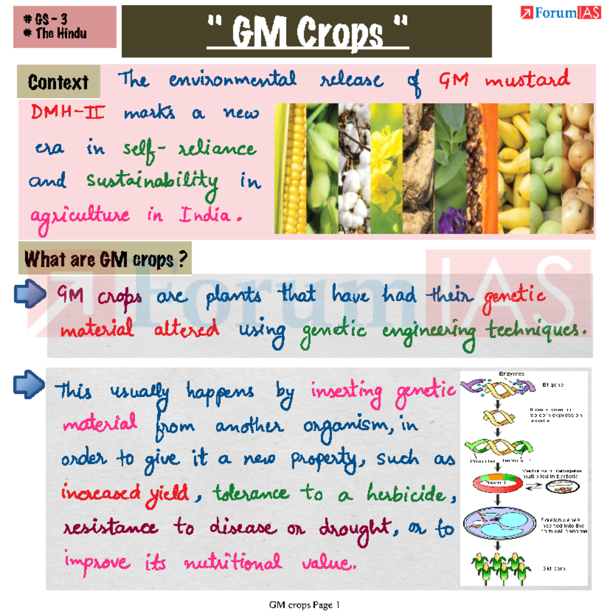 argumentative essay gm crops