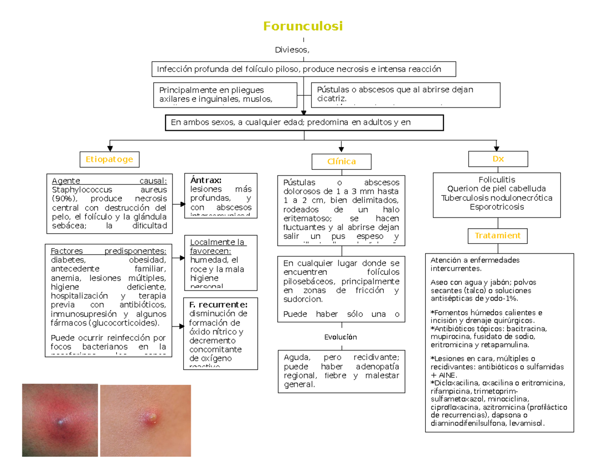 Staphylococcus Aureus Mapa Conceptual - Diary Bersama