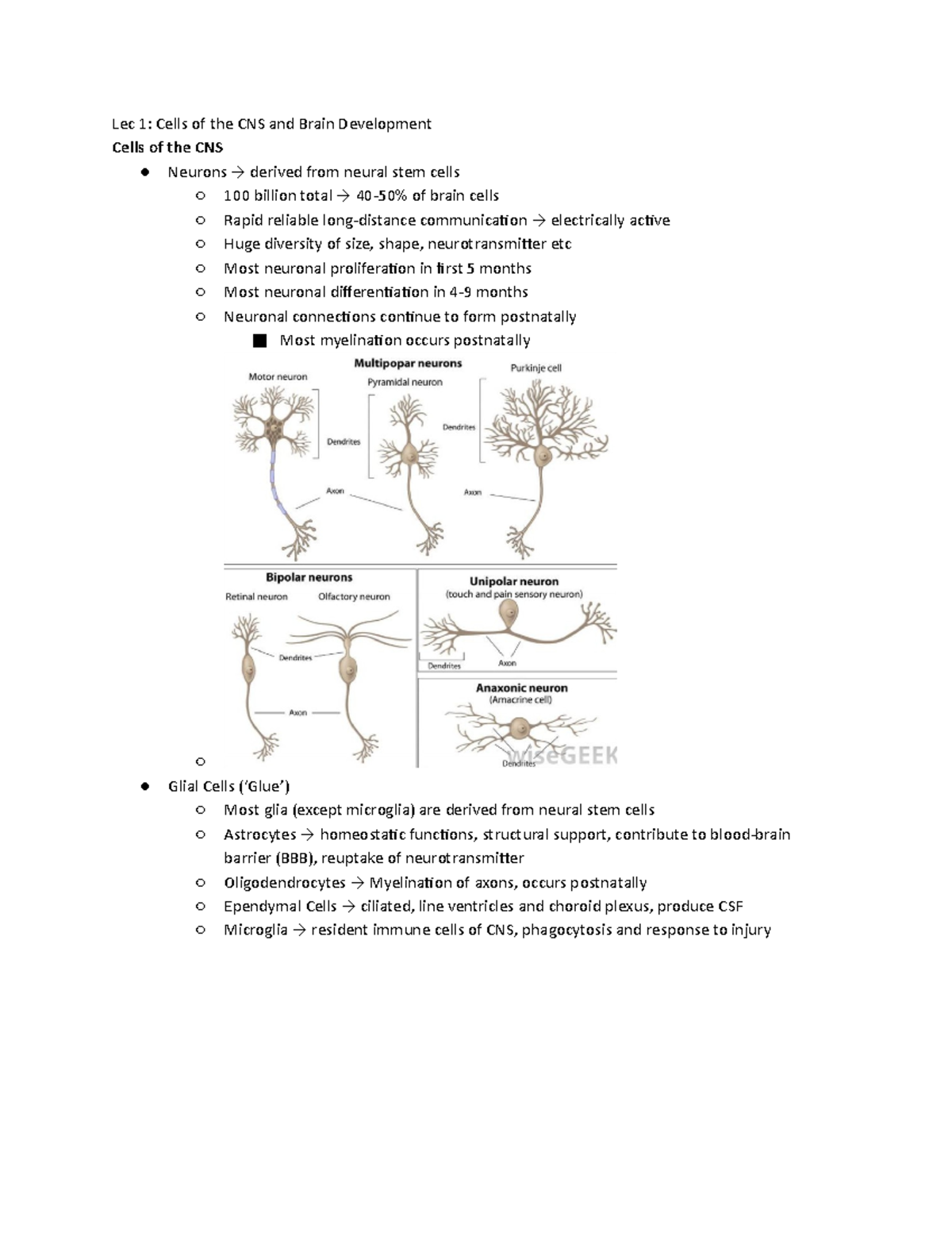 Week 1 Brain Development - Lec 1: Cells of the CNS and Brain ...