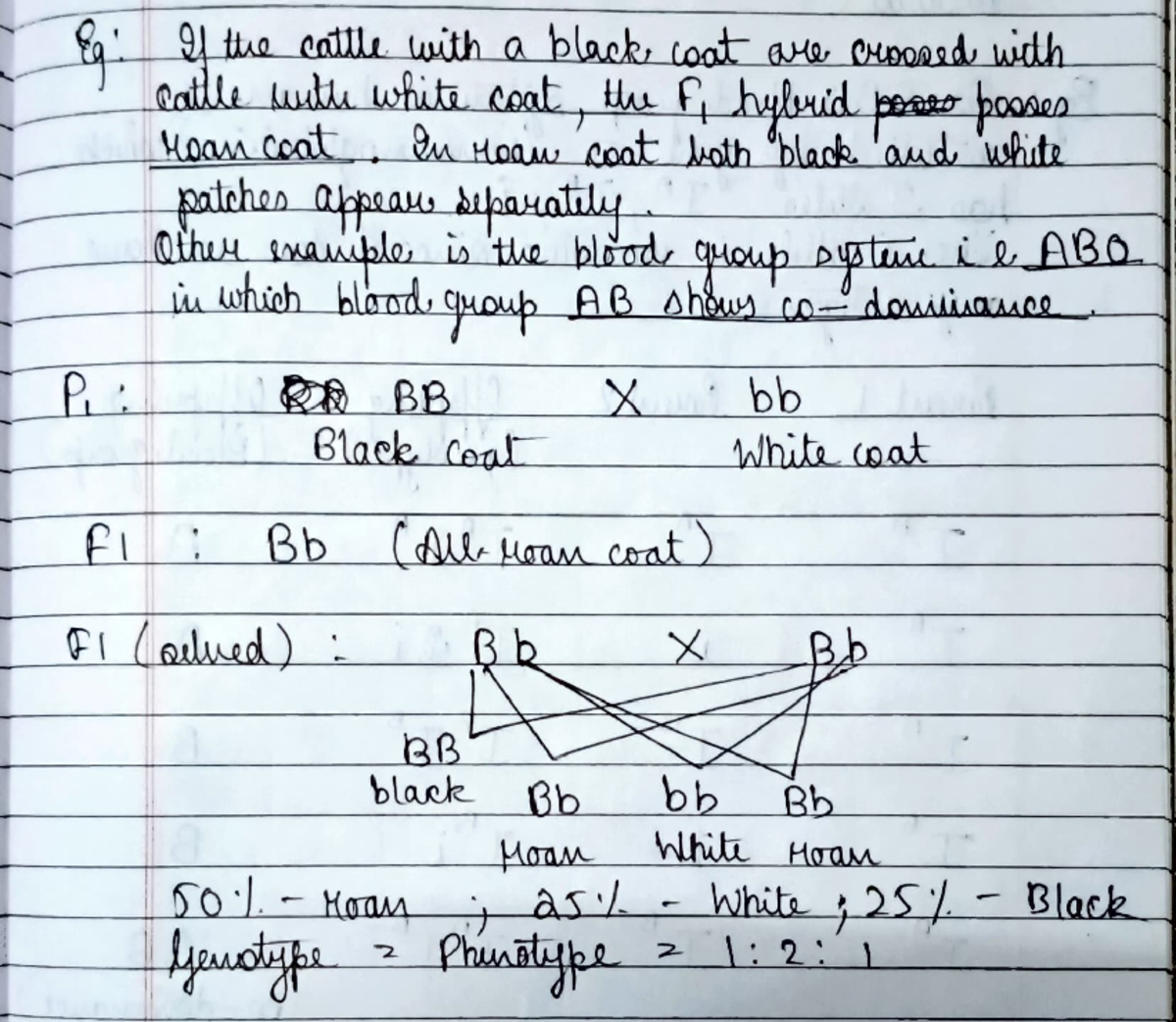 Codominance - A part of the first unit mendelian deviations - Genetics ...