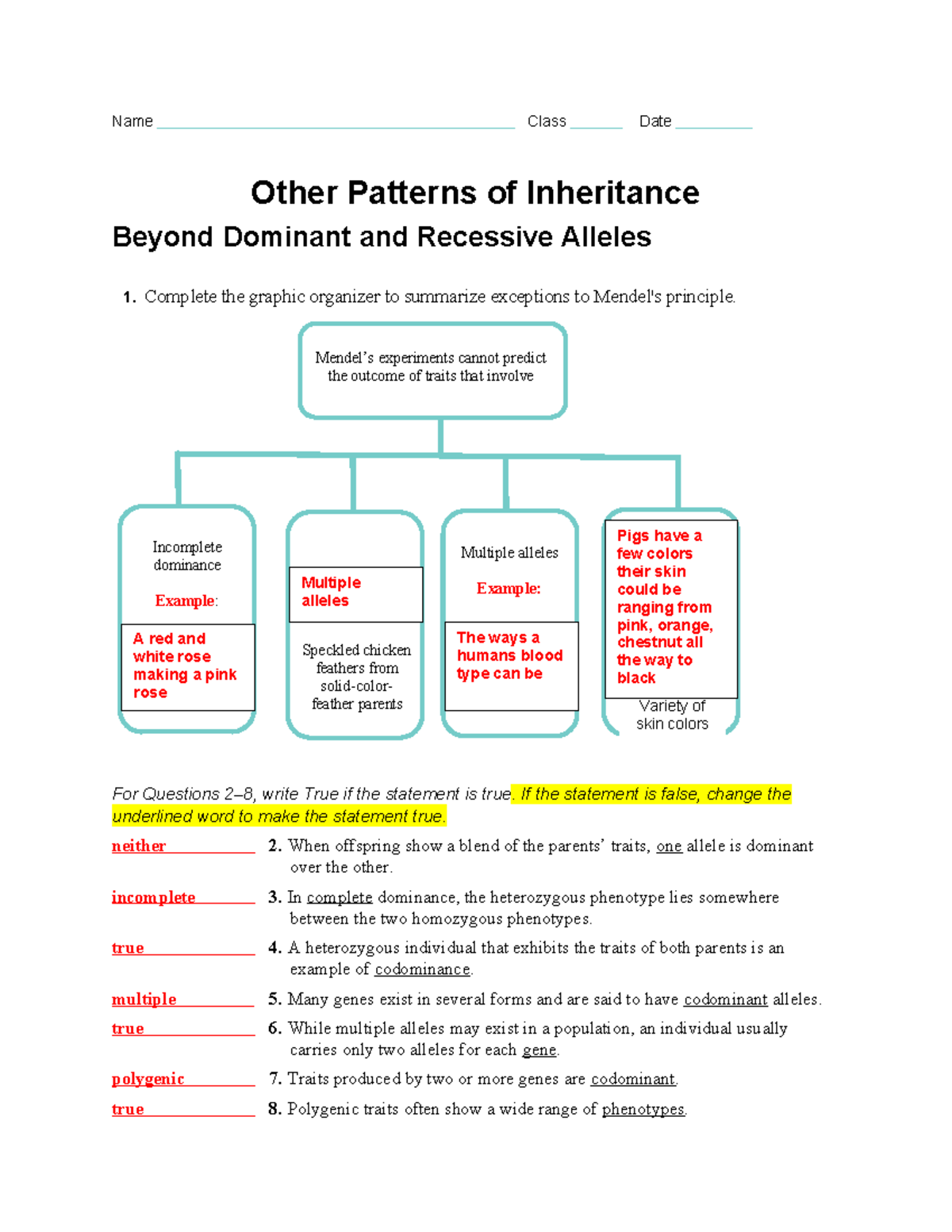 Other Patterns of Inheritance - Name Class Date Other Patterns of ...