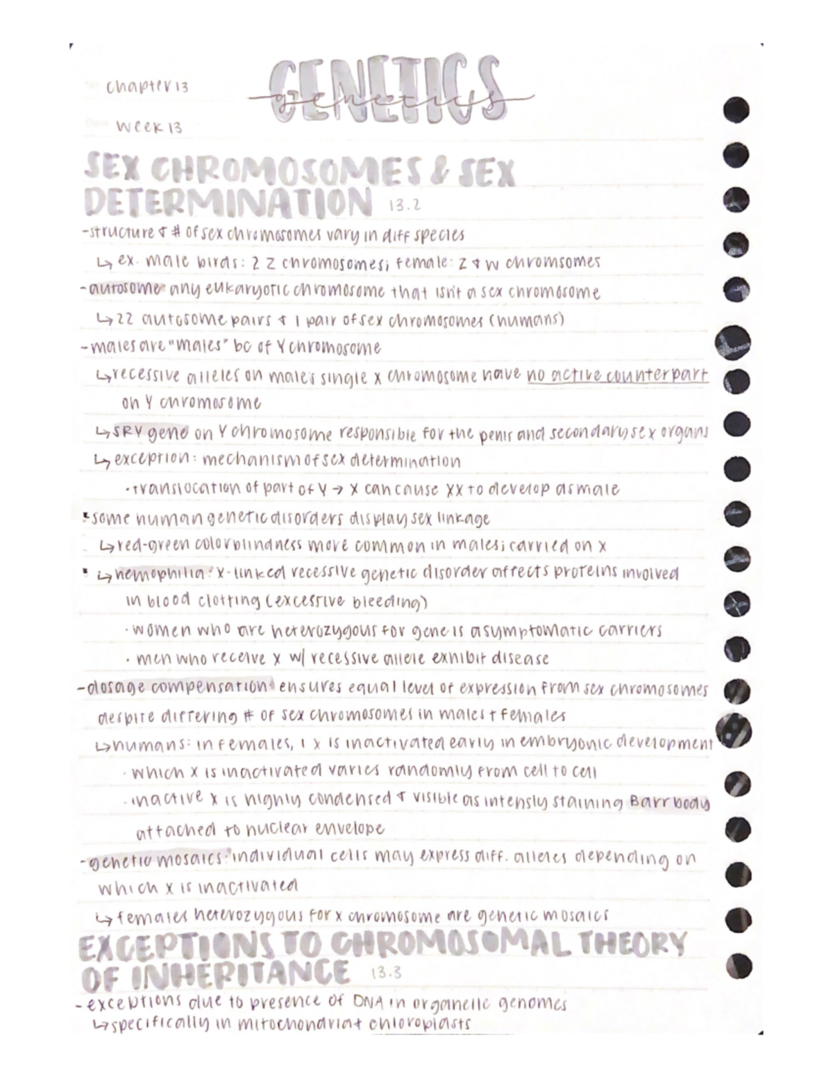 Genetics - Lecture notes from Dr. Warren's BIOL200 class - BIOL 200 ...