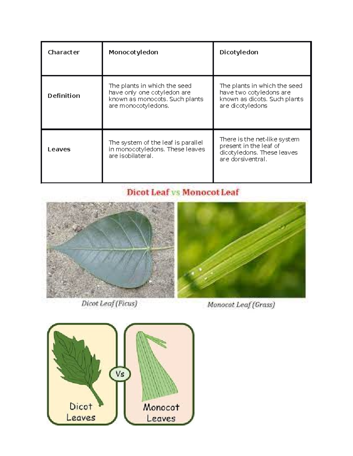 Lesson PLAN CO1 2022-2023 - Character Monocotyledon Dicotyledon ...