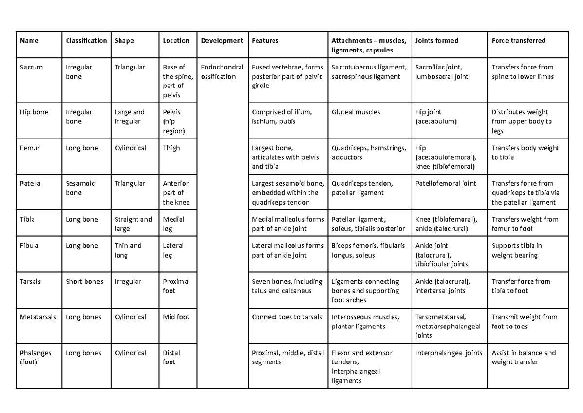 Lower limb - Name Classification Shape Location Development Features ...
