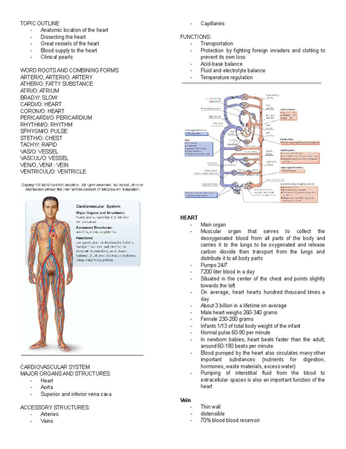 Cardiovascular- Anatomy - TOPIC OUTLINE Anatomic location of the heart ...