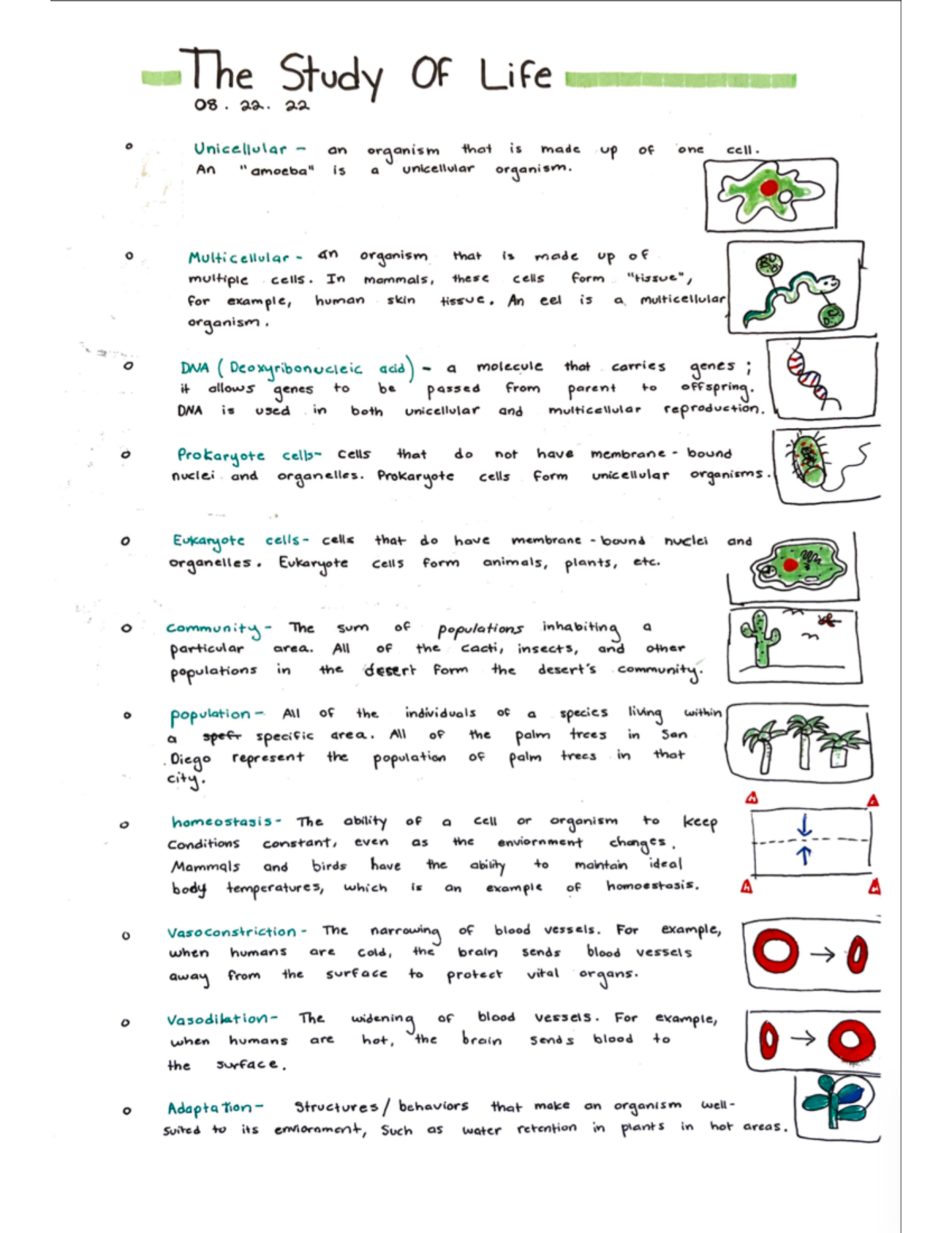 Study Of Life Vocab 1 - BIO 111 - Studocu