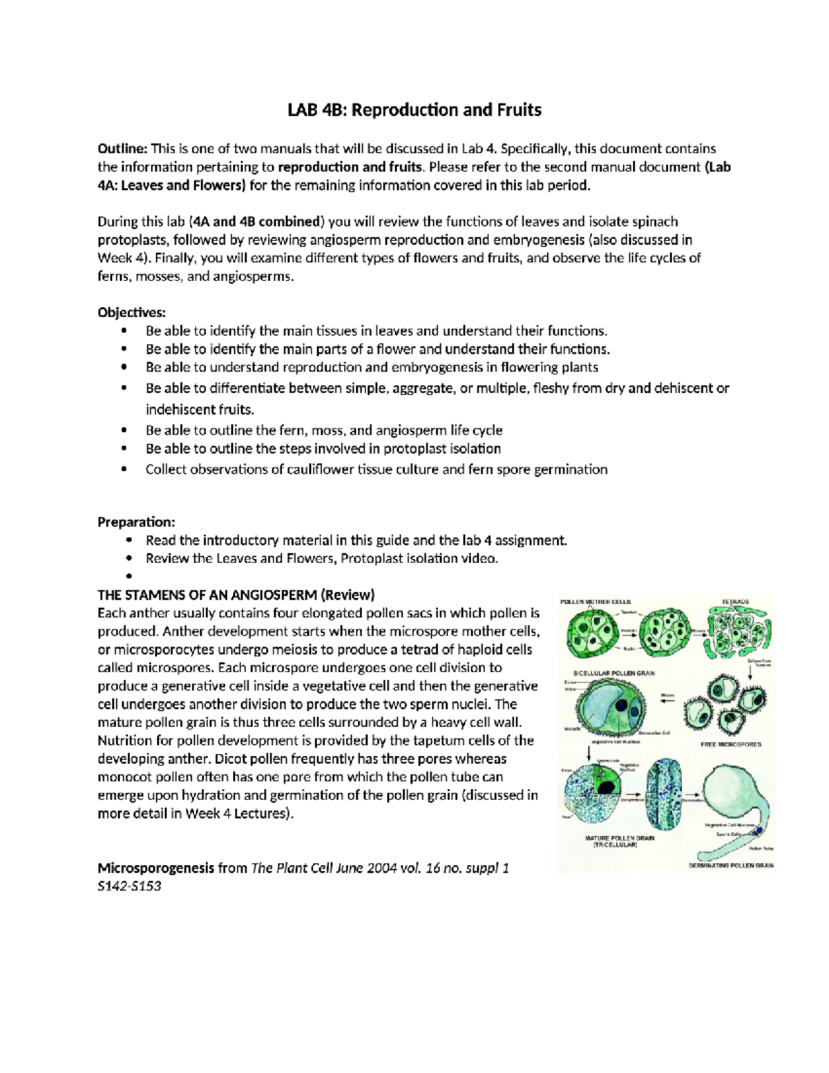 Bio 2D03 Lab 4B - Fruits And Reproduction - Biology 2D03 Plant ...