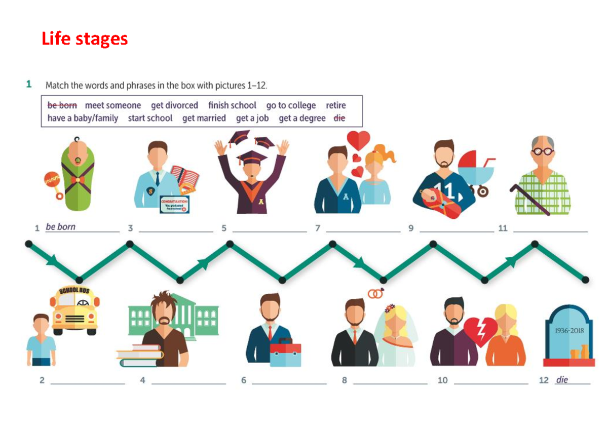 Life stages - Vocabulary - Inglés - Life stages - Studocu