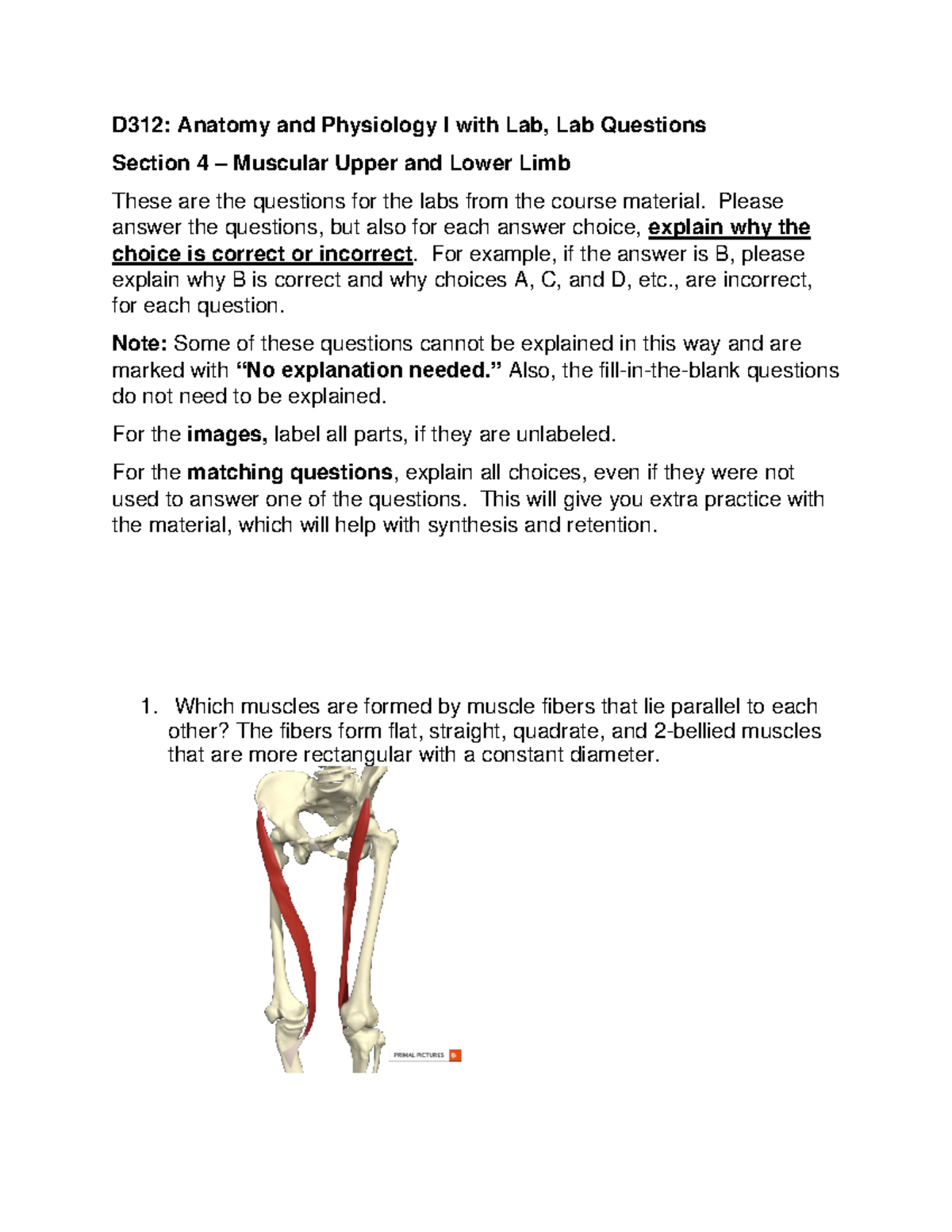 9:8:24 D312 Section 4 - Muscular Upper and Lower Limb - D312: Anatomy ...