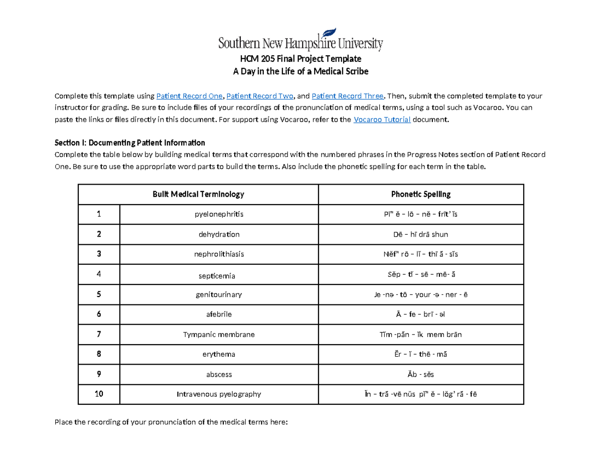 HCM 205 Final Project Template (2) - HCM 205 Final Project Template A ...