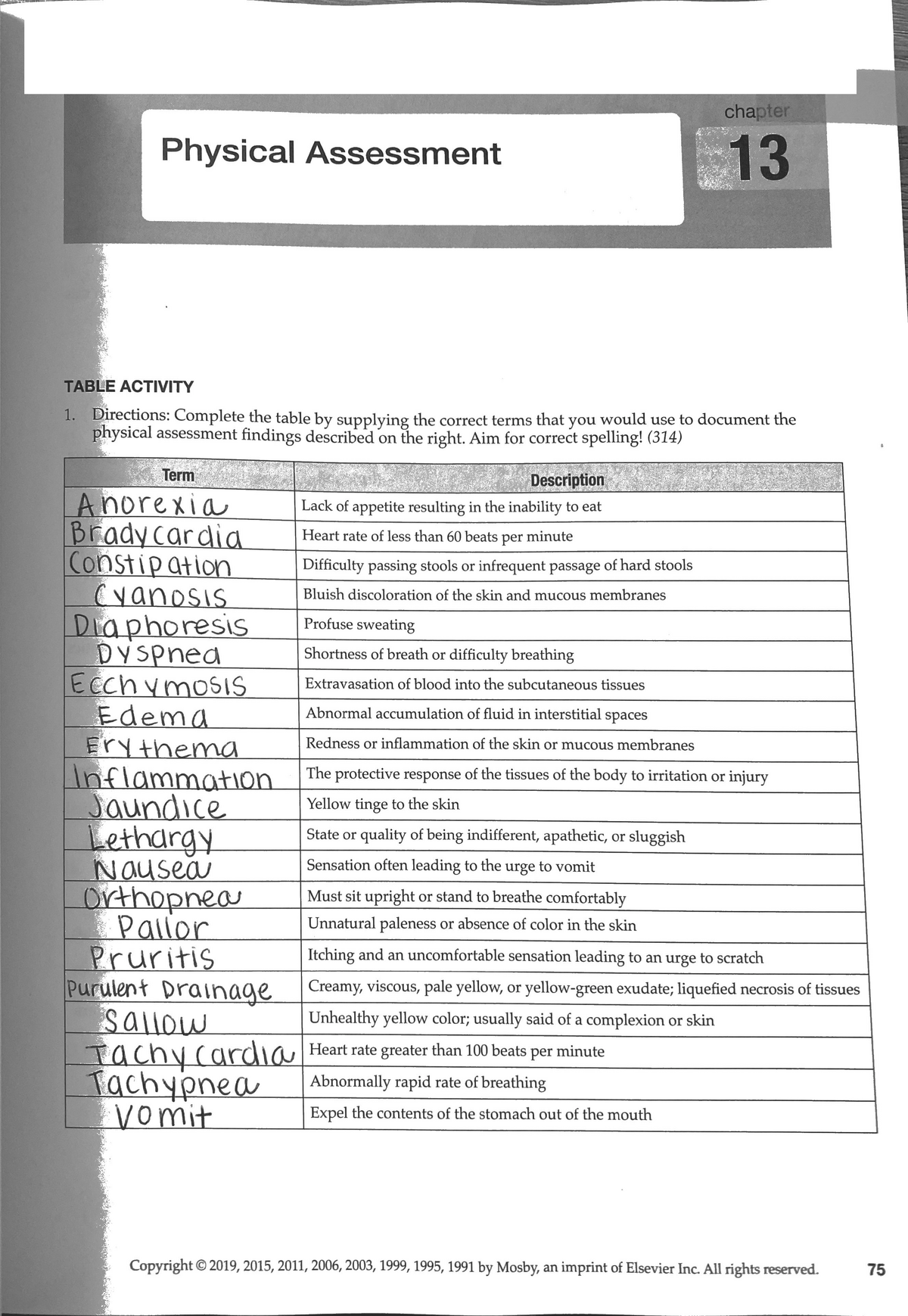 Chapter 13 Physical Assessment Copy - VN100 - ACC - Studocu