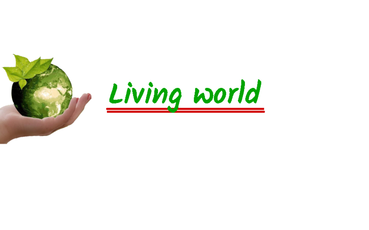 Living World Well lecture notes. Living world andy Man and Housefly are placed in the same A