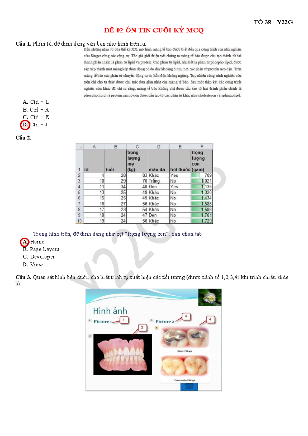 MS Excel là công cụ nào để tạo và quản lý các bảng tính và dữ liệu?