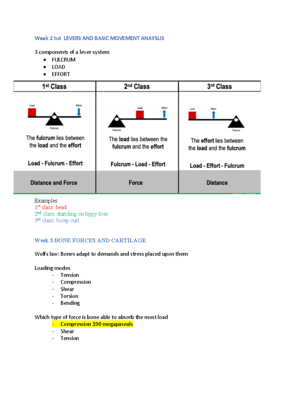 Tut notes functional Week 2 tut LEVERS AND BASIC MOVEMENT ANAYSLIS 3