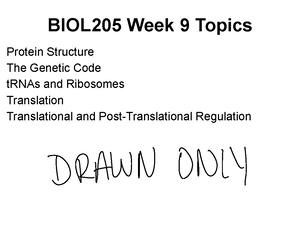 BIOL 205 Week 8 Notes - BIOL205 Week 8 Topics RNA Structure Transcription And Decay Of MRNA In ...