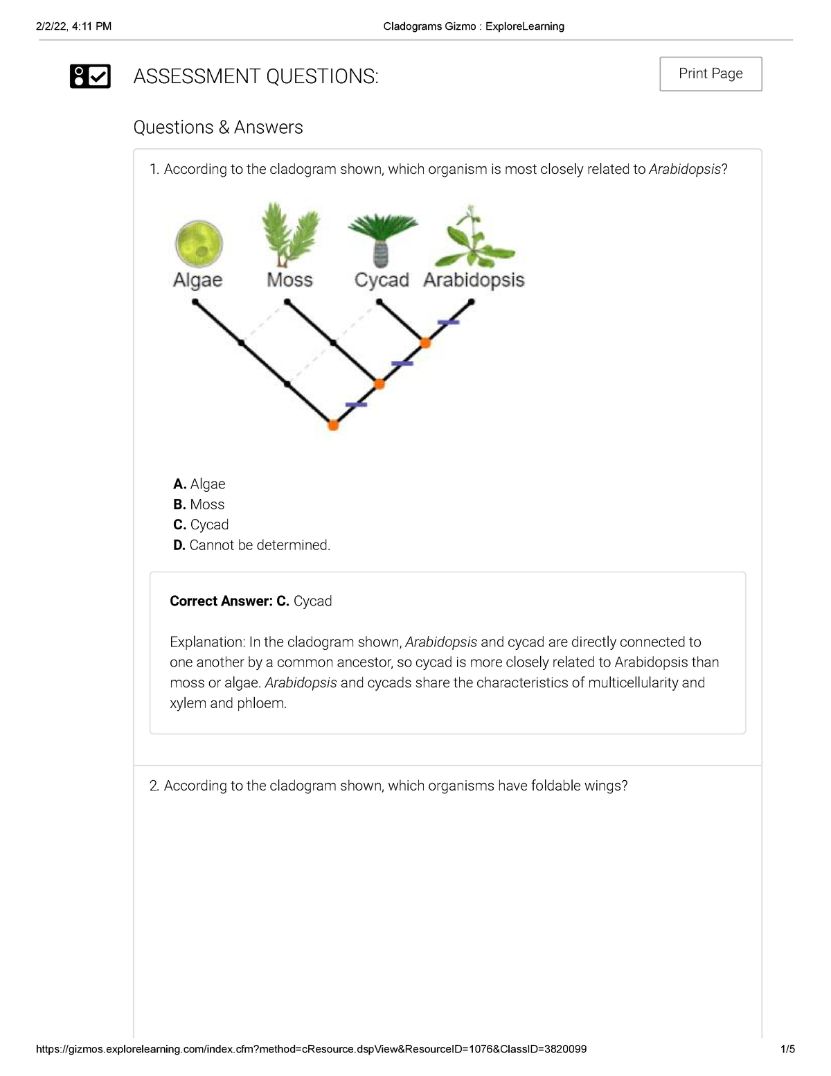 Cladograms Gizmo Explore Learning ASSESSMENT QUESTIONS Print Page 