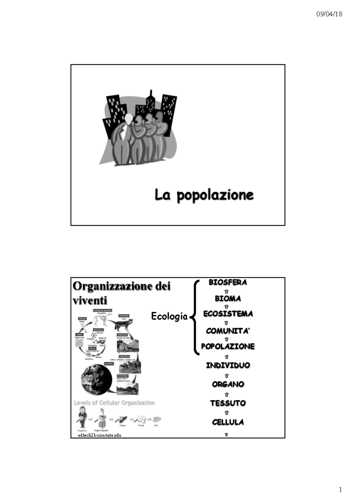 BTK10 La Popolazione - Ecologia-le Popolazioni ...