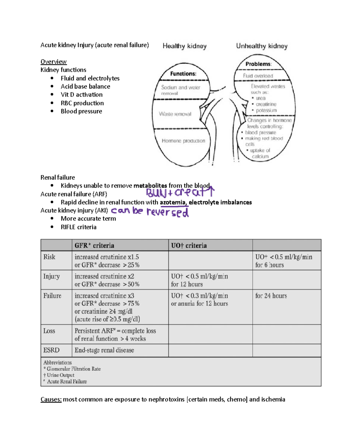 Acute Kidney Injury - AKI Notes From Lecture - Acute Kidney Injury ...